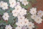 Claude Monet Clematis oil painting